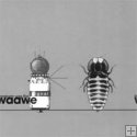 WAAWE Timestorm was the signal