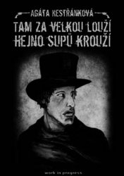 AGÁTA KESTŘÁNKOVÁ Tam za velkou louží hejno supů krouží AGÁTA KESTŘÁNKOVÁ Tam za velkou louží hejno supů krouží