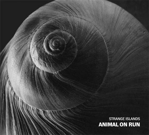 STRANGE ISLANDS Animal on Run - Kliknutm na obrzek zavete